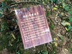 -西双版纳基诺山寨