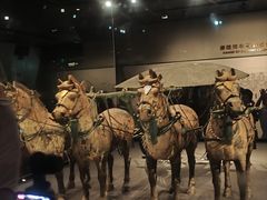 -秦始皇帝陵博物院-丽山园