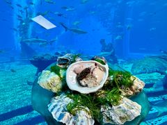 -亚特兰蒂斯•OSSIANO奥西亚诺海底餐厅