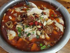 肥肠鱼-龙梅肥肠鱼(明瓦廊店)
