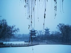 -迎泽公园
