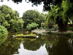 鱼塘花船-成都市活水公园