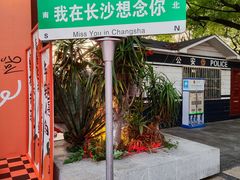 -杜甫江阁