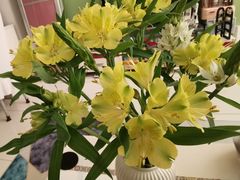 -泰钰丰烤鸭(开发区店)