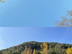 -团城山公园