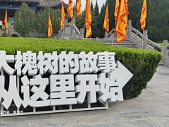 -大槐树寻根祭祖园
