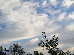 -武陵山森林公园