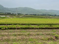 -北仑森林植物园