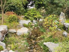-东莞植物园