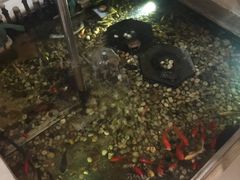-衡山汇·高级粤菜(霄云路店)