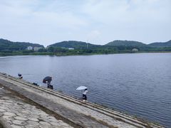 -青龙山国家森林公园