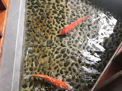 -尺山寸水日料(马桥满天星店)