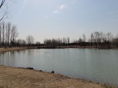 -东郊湿地公园