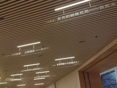 -福州海峡文化艺术中心