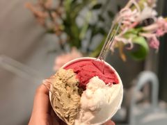 -Dip in Gelato(富民路店)