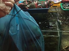 -班赞海鲜市场