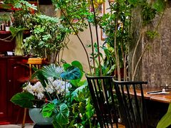 -花二家·生活馆(六运小区店)