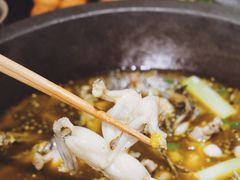 -石锅苗苗鱼(武汉首店)