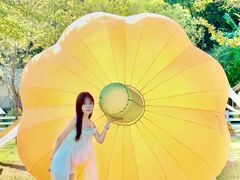 -云栖山谷野奢营地