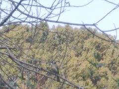 -咸宁万豪温泉谷度假区