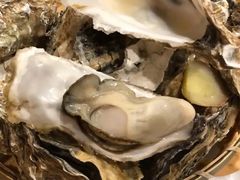 竹篮生蚝-全渔村小海鲜