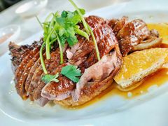 -日日香卤鹅饭店·澄海狮头鹅(澄海店)