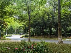 -苏州河梦清园环保主题公园