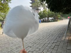 -上海方塔园