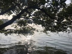 -东湖落雁景区