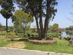 -上海多利农业发展有限公司