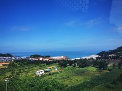 -摩天岭风景区