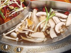 -辣伍鲜毛肚老火锅(元一店)