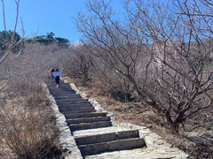 -香山公园
