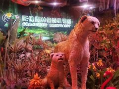 -正佳雨林生态植物园