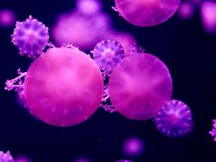 -珠海长隆海洋王国