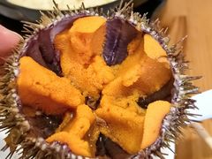 -海胆小馆(东北水饺·春柳店)