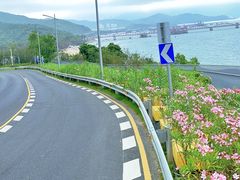 -玫瑰海岸文化旅游度假区