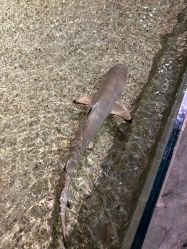 -Zoolung Zoolung动物主题公园(海信广场店)