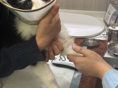 -佑安动物医院·全科·内窥镜中心(幸福巷店)