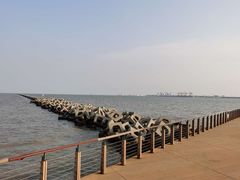 -东疆建设开发纪念公园
