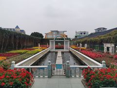 -百万葵园