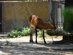 -石家庄市动物园