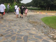 -松山湖梦幻百花洲