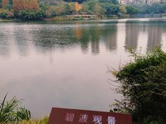 -重庆彩云湖湿地公园