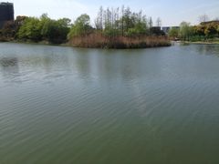 iphone_upload_pic-新江湾城公园