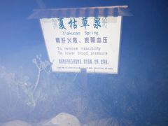 -河北霸州茗汤日月潭温泉