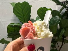 -喜茶(上海打浦桥日月光gelato lab+店)
