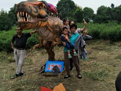 -十里长山生态农业公司