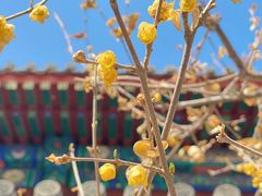 -国家植物园