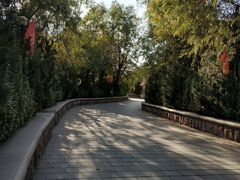 -泰安地下龙宫景区